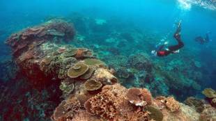 Australia, outlook, Great Barrier Reef, very poor, UNESCO, World Heritage site, science, coral reef habitat, climate change