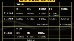 Kia Seltos, kia seltos price in india, kia india, kia motors, kia motors seltos launch, kia seltos launch, kia seltos price, kia seltos india, kia seltos variants, kia cars