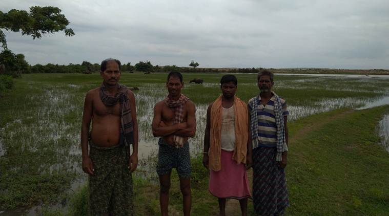 Heavy rains in odisha, flood in odisha districts, Kalahandi, Nuapada districts, Nabarangpur, latest news on odisha floods