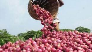 Onion price, Delhi, Mumbai, Maharashtra, NAFED, Export