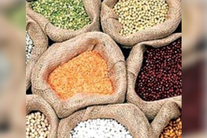 Nafed and Food Corporation of India, oilseeds, pulses, PM Aasha scheme, kharif crops, rabi seasons, MSP benefits, rabi pulses, oilseeds, pulses imports india, pulses export india