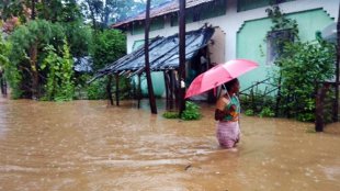 Rain, price pressure, Kerala, banana, veggie, export, import, economy news