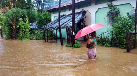 Rain, price pressure, Kerala, banana, veggie, export, import, economy news Rain, price pressure, Kerala, banana, veggie, export, import, economy news