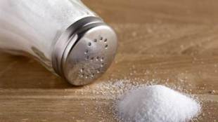 Salt manufacturer, agricultural activity, Tata, Nirma, GHCL, Tata salt, Salt making, Salt  manufacturing, Salt making process