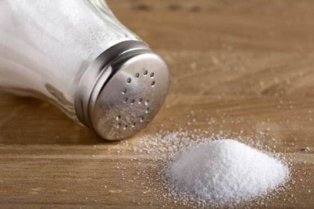 Salt manufacturer, agricultural activity, Tata, Nirma, GHCL, Tata salt, Salt making, Salt manufacturing, Salt making process Salt manufacturer, agricultural activity, Tata, Nirma, GHCL, Tata salt, Salt making, Salt manufacturing, Salt making process