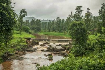 Gujarat’s Saputara Monsoon Festival, Saputara Monsoon Festival, Saputara Monsoon Festival Gujarat, Gujarat Tourism, Dang district, how to reach saputara, surat to saputara, vadodara to saputara, Saputara Monsoon Festival dang, Saputara Monsoon Festival Gujarat dang Gujarat’s Saputara Monsoon Festival, Saputara Monsoon Festival, Saputara Monsoon Festival Gujarat, Gujarat Tourism, Dang district, how to reach saputara, surat to saputara, vadodara to saputara, Saputara Monsoon Festival dang, Saputara Monsoon Festival Gujarat dang