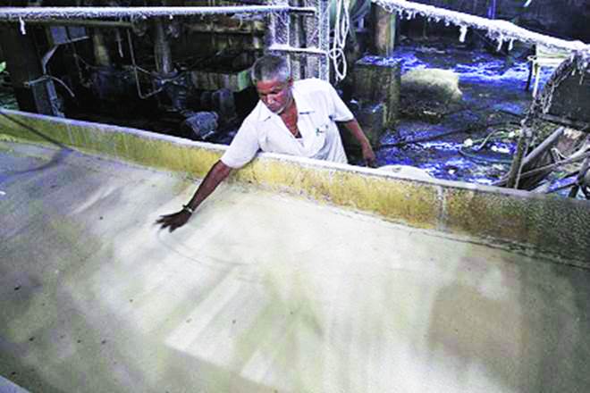 sugar stocks, ICRA Report, sugar price, sugar production, Karnataka, Maharashtra, CCEA, sugarcane prices, MSP for sugar sugar stocks, ICRA Report, sugar price, sugar production, Karnataka, Maharashtra, CCEA, sugarcane prices, MSP for sugar