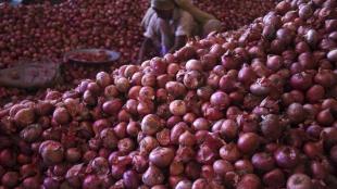 Arvind Kejriwal, onion, india news, Delhi, Delhi Secretariat