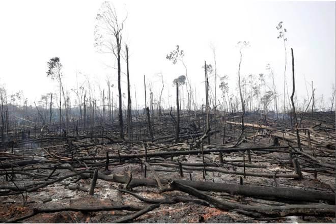 There is widespread deforestation, destruction of wetlands, overgrazing, urbanisation, and even, perhaps most importantly, unsustainable agriculture