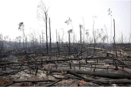 There is widespread deforestation, destruction of wetlands, overgrazing, urbanisation, and even, perhaps most importantly, unsustainable agriculture