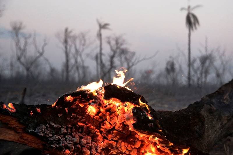 amazon forest, amazon forest fire, amazon forest fire images, bolivia fire, bolivia capital, bolivia fire amazon, bolivia fire map, bolivia fire news
