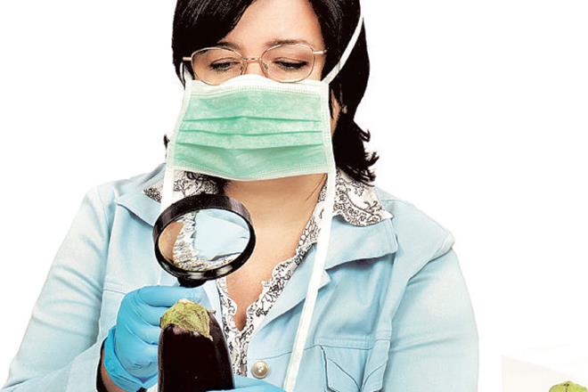 This incident signalled that harmonisation of food safety standards is indispensable for spurring food trade globally in an eloquent atmosphere. This incident signalled that harmonisation of food safety standards is indispensable for spurring food trade globally in an eloquent atmosphere.