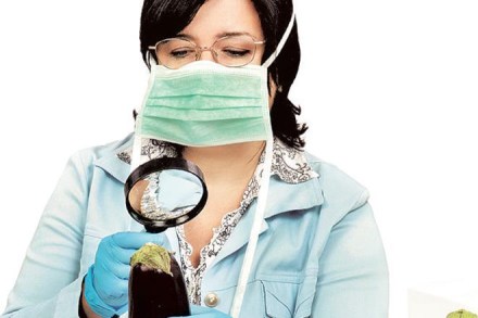 This incident signalled that harmonisation of food safety standards is indispensable for spurring food trade globally in an eloquent atmosphere. This incident signalled that harmonisation of food safety standards is indispensable for spurring food trade globally in an eloquent atmosphere. This incident signalled that harmonisation of food safety standards is indispensable for spurring food trade globally in an eloquent atmosphere. This incident signalled that harmonisation of food safety standards is indispensable for spurring food trade globally in an eloquent atmosphere.