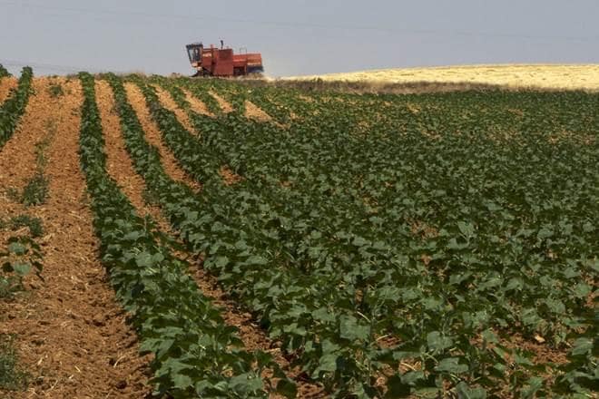 With agricultural productivity growing more slowly in poor nations, time is running out for tackling extreme poverty. (Representational image)