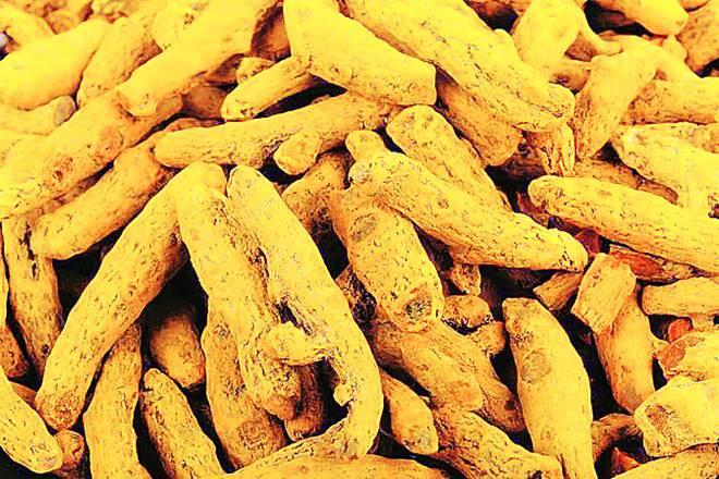 This is not the first study to discuss the effects of curcumin (read haldi) in battling TB. (Representational image) This is not the first study to discuss the effects of curcumin (read haldi) in battling TB. (Representational image)
