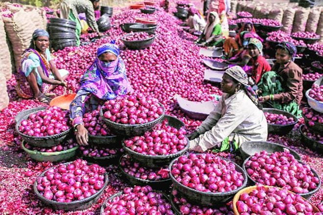 On Friday, modal onion prices were at Rs 400 per quintal with maximum prices at Rs 4,500 per quintal and minimum prices at Rs 1,500 per quintal.
