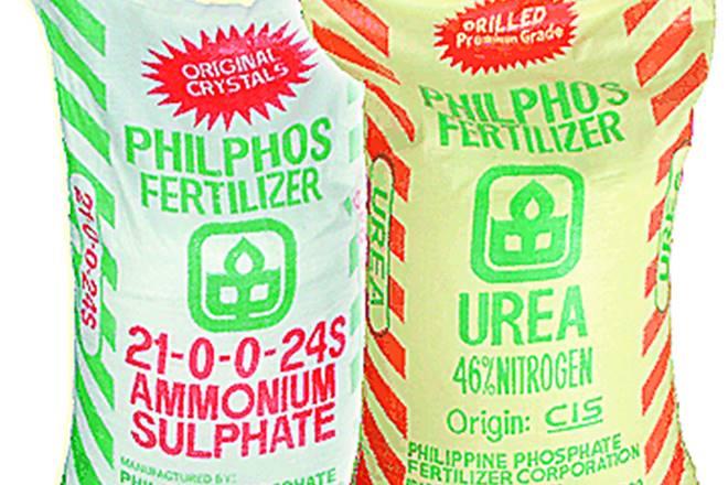 Urea subsidy in the period, however, increased from Rs 24,337 crore to Rs 53,629 crore. Urea subsidy in the period, however, increased from Rs 24,337 crore to Rs 53,629 crore.