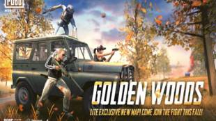 PUBG Mobile Lite, PUBG Mobile Lite Golden Woods, pubg mobile update, pubg mobile lite update, PUBG Mobile Lite Golden Woods map, PUBG Mobile Lite Golden Woods update, PUBG, PUBG Mobile