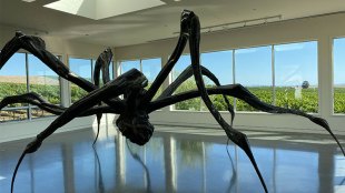 Max 737, Boeing, Boeing 737 MAX news