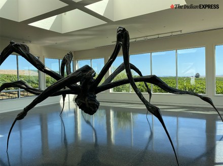 Max 737, Boeing, Boeing 737 MAX news