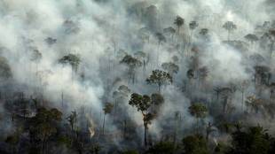 amazon forest, amazon forest fire, amazon forest fire images, bolivia fire, bolivia capital, bolivia fire amazon, bolivia fire map, bolivia fire news