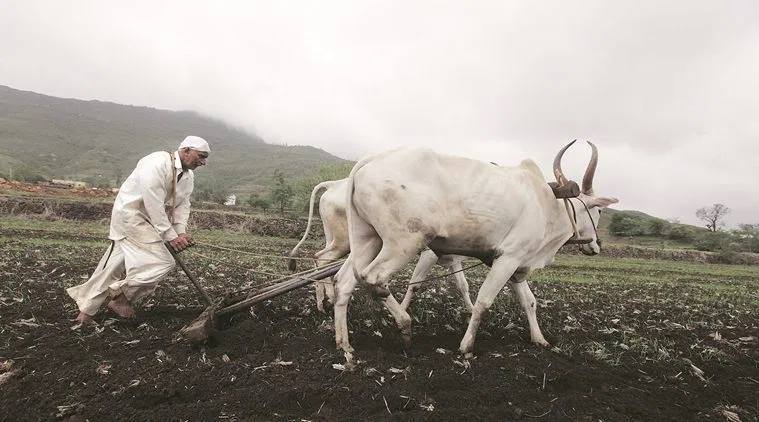 good idea, farmer, interest, DBT, RBI, West Bengal, Chhattisgarh, Bihar, Odisha, Maharashtra, Uttar Pradesh, Rajasthan, Telangana, Tamil Nadu, Uttarakhand