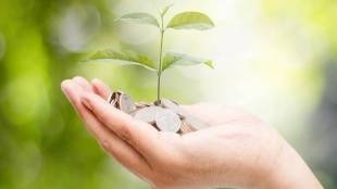 PF interest rate, salaried, employee provident fund, EPF, PF, provident fund,