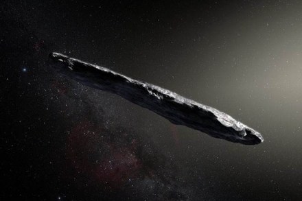 NASA, Oumuamua, interstellar object