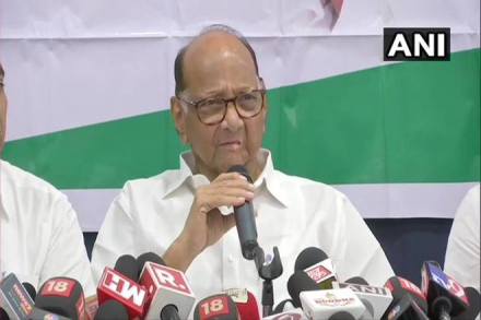 Maharashtra Assembly election, Maharashtra Assembly election 2019, Maharashtra election, NCP, Sharad Pawar, india news, BJP