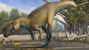 Japanese scientist, herbivorous dinosaur, dinosaur species, dinosaur, science news