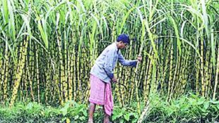 Cabinet Committee on Economic Affairs, CCEA, sugarcane extracted ethanol, petrol, ethanol blended fuel, india oil import bill, sugar industry india, sugarcane farmers india, Indian Sugar Mills Association, GST ethanol, GST petrol, thanol blended petrol EBP,