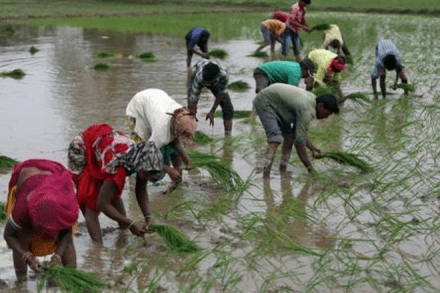 Kisan Maan Dhan Yojana