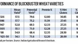 CBI, CBI raid, Bengaluru Police, HD Kumaraswamy, india news, 