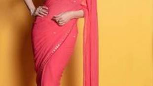 Maharashtra elections 2019, Maharashtra news, Maharashtra election, Madhuri Dixit, goodwill ambassador