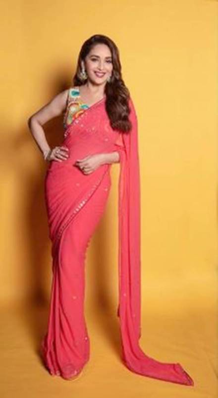 Maharashtra elections 2019, Maharashtra news, Maharashtra election, Madhuri Dixit, goodwill ambassador