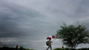 rainfall, India, monsoon, monsoon 2019, monsoon season, monsoon season in india, india news