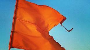 lynching, mob lynching, RSS, RSS chief, Mohan Bhagwat, india news