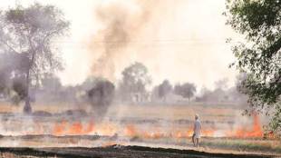 Punjab Agriculture Dept, stubble burning, air pollution, Rural Development and Panchayats Department, Panchayat, india news,