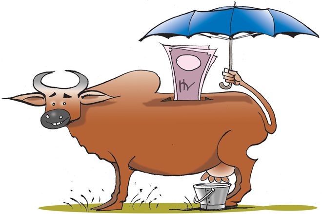 India should look at import duty structure of other countries such as Canada, Japan, Pakistan and South Africa. Canada imposes a 208% protection duty on dairy products (Illustration: rohnit phore)