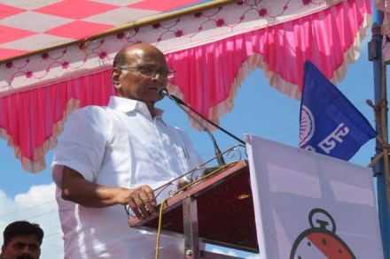 The NCP is contesting the election to the 288-member Assembly in alliance with the Congress and a few smaller parties. (Twitter image) The NCP is contesting the election to the 288-member Assembly in alliance with the Congress and a few smaller parties. (Twitter image)