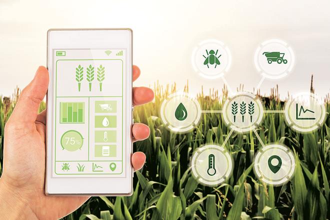 The agritech sector is growing at the rate of 25% year on year, the report says.