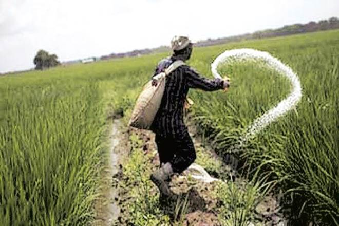 Farmers are mandated to show their Aadhaar card to buy the subsidised fertilisers.