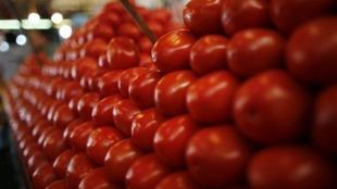 Tomato Price, Onion Price, Inflation, Pulses Price, Mother Dairy, Safal Outlet, NAFED