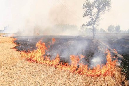 A significant rise in stubble burning was recorded on October 19 and 20. A significant rise in stubble burning was recorded on October 19 and 20.