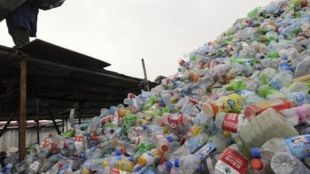 single use plastic, bank, latest news