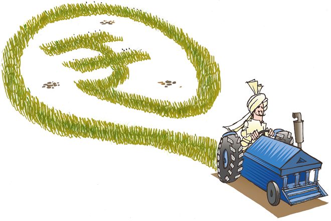 The National Agriculture Policy (2000) has also advocated encouraging farm forestry, block forest, village wood lots and others, but the current share of agroforestry system stands at 3.39% of the geographical area. (Illustration: rohnit phore) The National Agriculture Policy (2000) has also advocated encouraging farm forestry, block forest, village wood lots and others, but the current share of agroforestry system stands at 3.39% of the geographical area. (Illustration: rohnit phore)