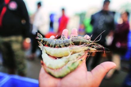 Declining catch and higher cost of fishing due to increase in input cost are likely to hurt millions of fishermen in countries like India.