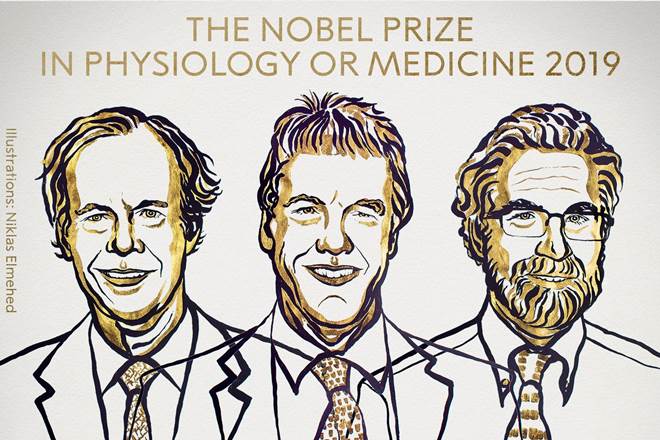 nobel prize 2019, nobel prize, nobel prize winners medicine, nobel prize 2019 medicine, nobel laureates, nobel prize money, nobel prize, nobel prize winners medicine 2019, nobel prize medicine 2019 , nobel prize medicine 2019 nominees