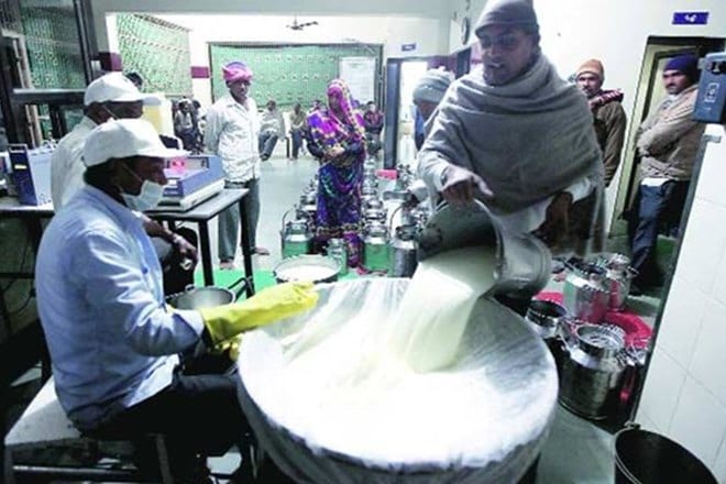 food adulteration, milk adulteration, adulteration in india, adulteration in food in india, madhya pradesh, bhopal, National Security Act, NSA, State Food Testing Laboratory, pan masala