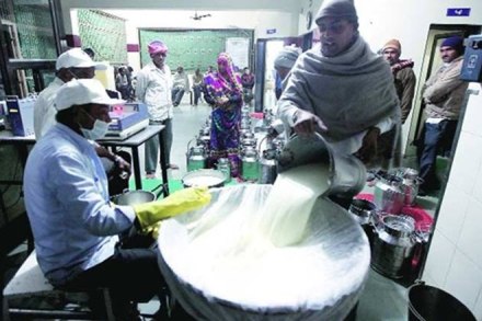 food adulteration, milk adulteration, adulteration in india, adulteration in food in india, madhya pradesh, bhopal, National Security Act, NSA, State Food Testing Laboratory, pan masala